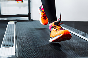 Palestra convenzionata